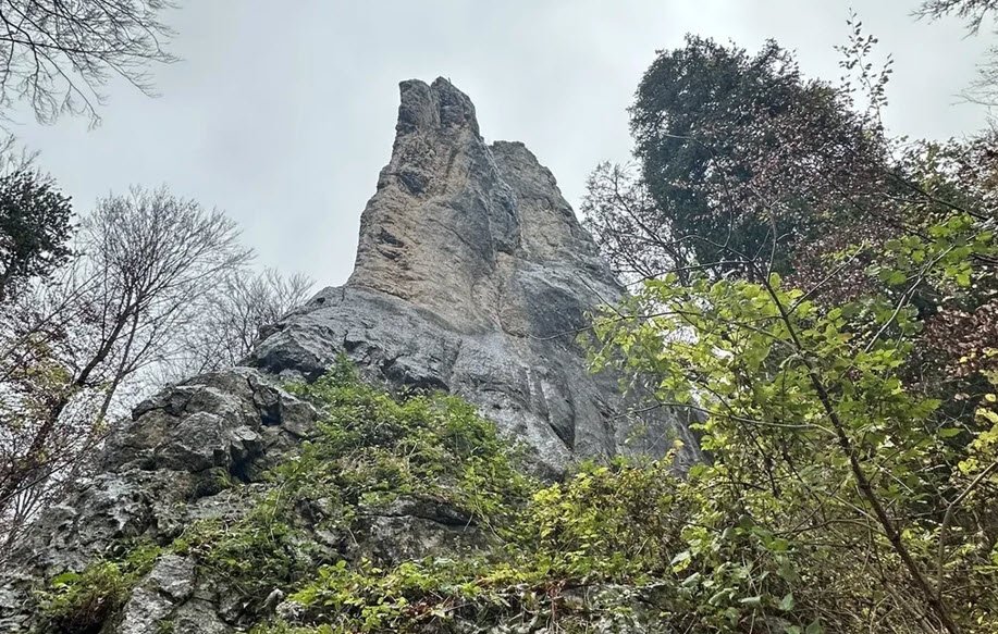 Ruine Muschenwang, Germany